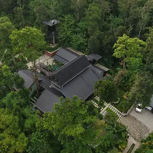 Sylvan Wayanad